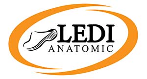 LEDI Anatomic